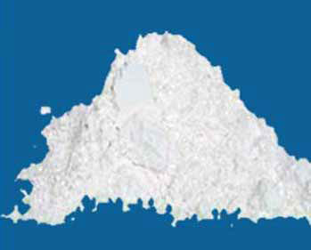 Manufacturers Exporters and Wholesale Suppliers of Washing Powder Gujarat Gujarat
